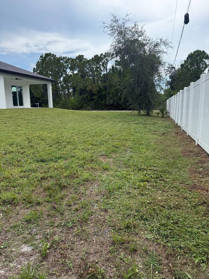 Freshly mowed, tidy backyard lawn after service