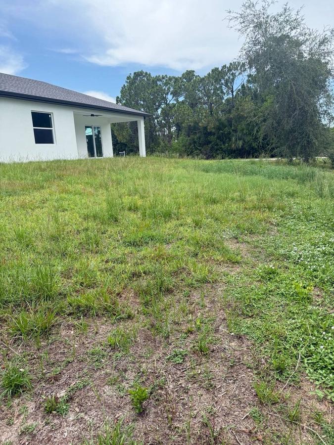 Overgrown, patchy backyard lawn before mowing